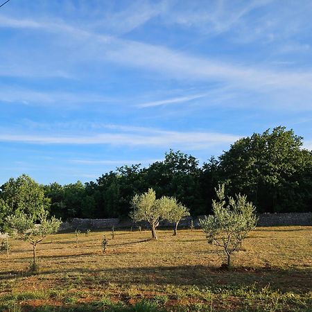 Stancija Lottegaly - Green Holiday Vodnjan Exteriér fotografie